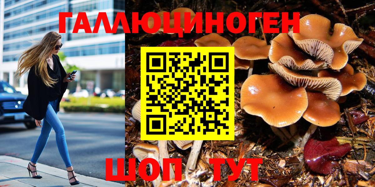 Псилоцибиновые грибы Magic Shrooms Сегежа