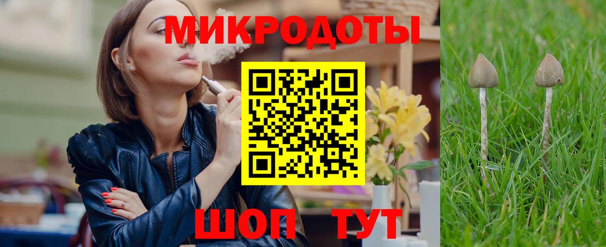 купить закладку  Псилоцибиновые грибы Psilocybine cubensis  Галлюциногенные грибы мицелий  Вход с VPN  Сегежа 
